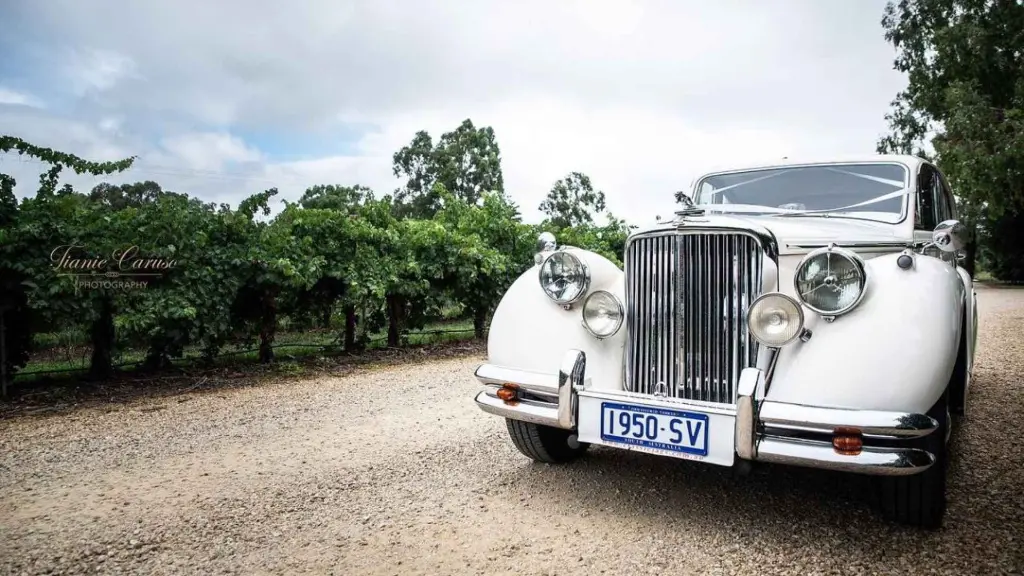wine-and-dine-classic-jaguar-markv-adelaide.webp