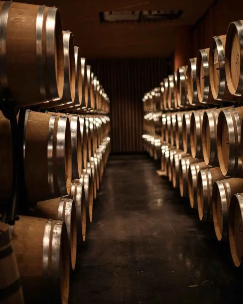 bononia-estate-barrel-room-bulgaria.webp