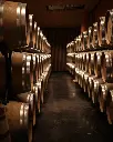 bononia-estate-barrel-room-bulgaria.webp