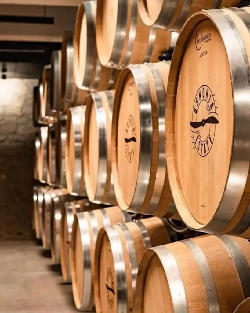 bononia-estate-wine-cellar-bulgaria.webp