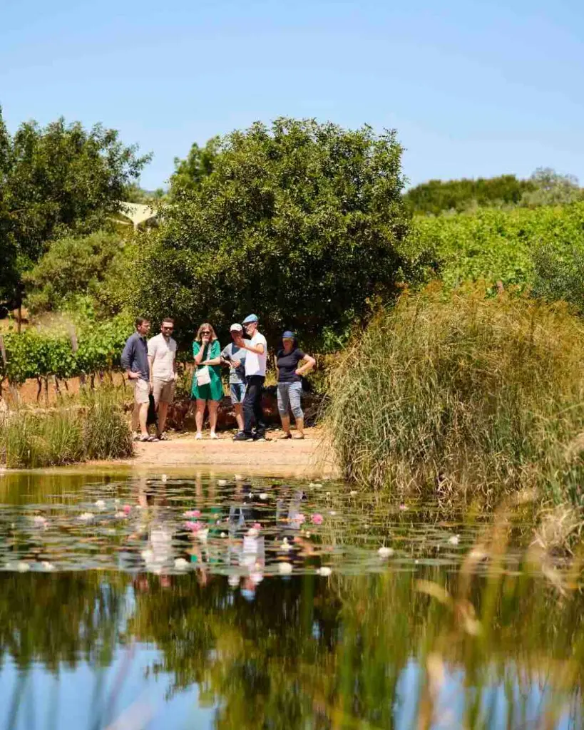 portugal-algarve-quinta-dos-sentidos-vineyard-tour-lake.webp