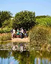 portugal-algarve-quinta-dos-sentidos-vineyard-tour-lake.webp