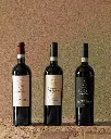 italy-veneto-torre-di-terzolan-wine-tasting-wines.webp