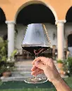 italy-veneto-torre-di-terzolan-wine-tasting.webp