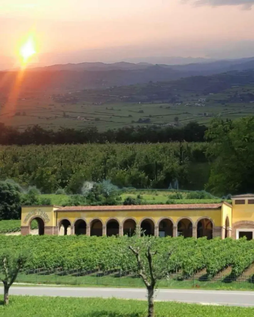 monte-tondo-veneto-italy-winery-visit.webp