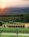 monte-tondo-veneto-italy-winery-visit.webp