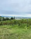 monte-tondo-veneto-vineyards-visit.webp