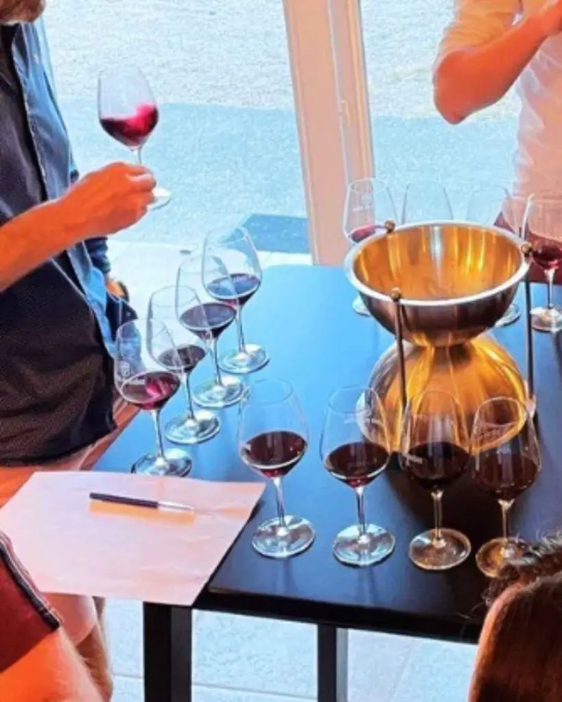 chateau-des-coccineles-france-wine-tasting.webp