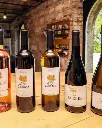 chateau-de-tauzies-france-wine-tasting.webp