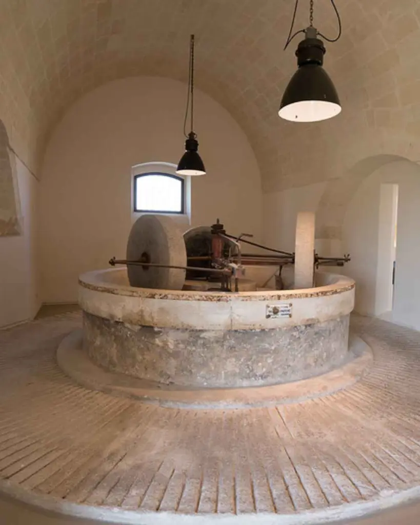 puglia-amastuola-winery-visit-indoor.webp