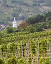 pelle-pince-vineyards-tokaj.webp