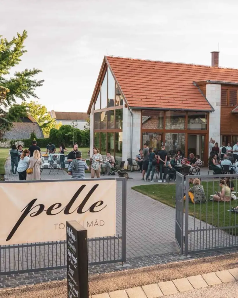 pelle-pince-wine-experience-tokaj-hungary.webp