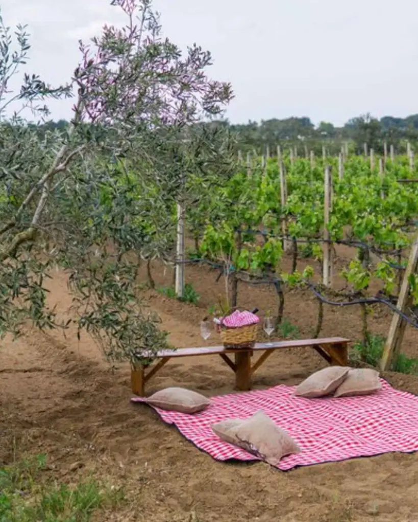 cantina-petrelli-picnic-wine-experience-italy.webp