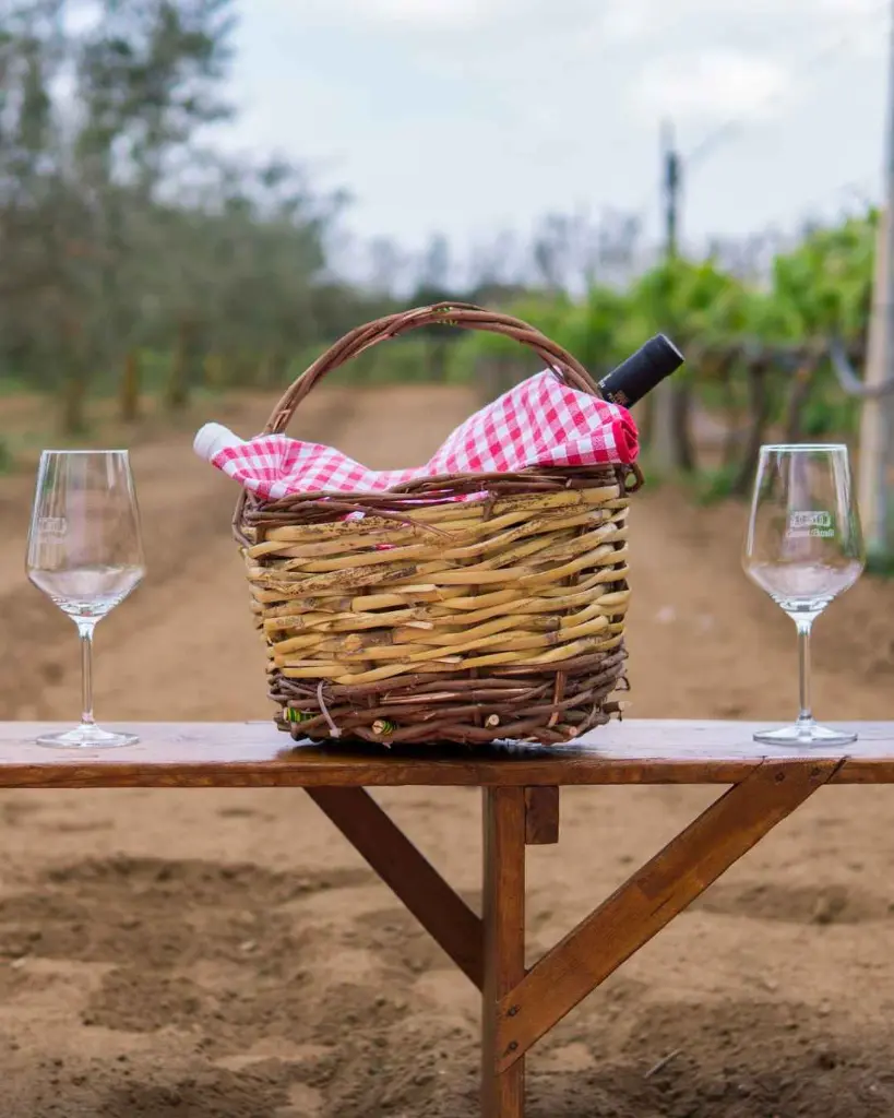 cantina-petrelli-wine-experience-picnic.webp