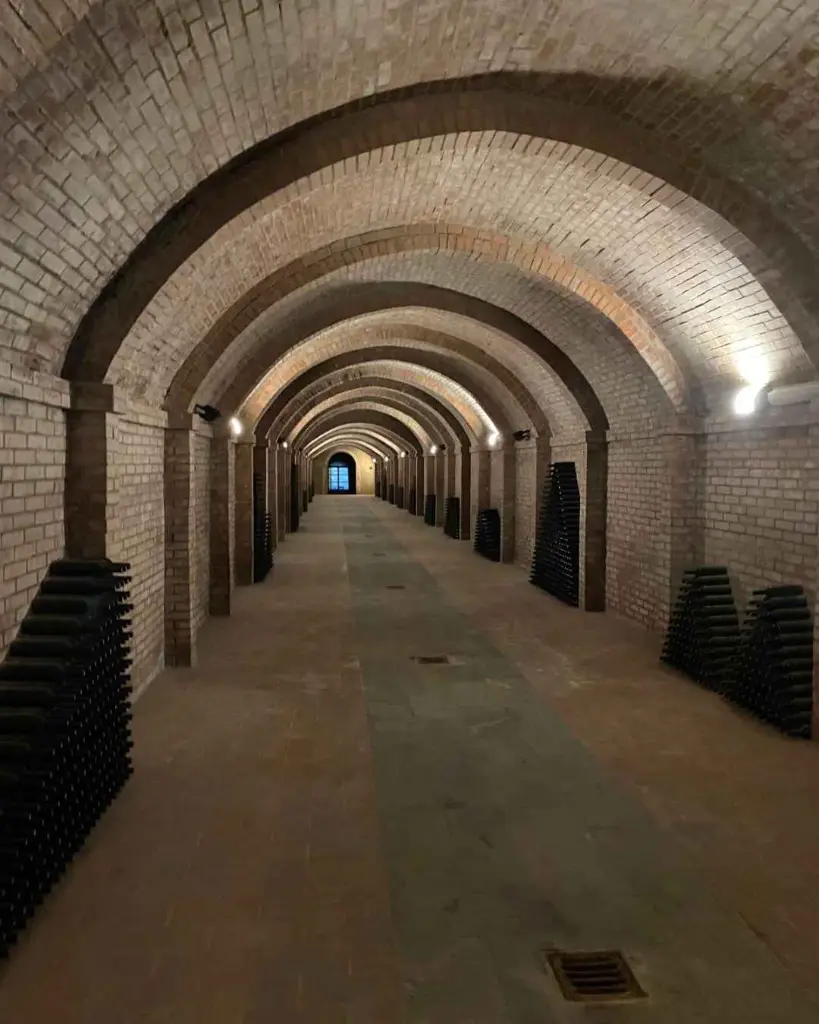 badia-di-morrona-wine-cellar-visit-italy-tuscany.webp