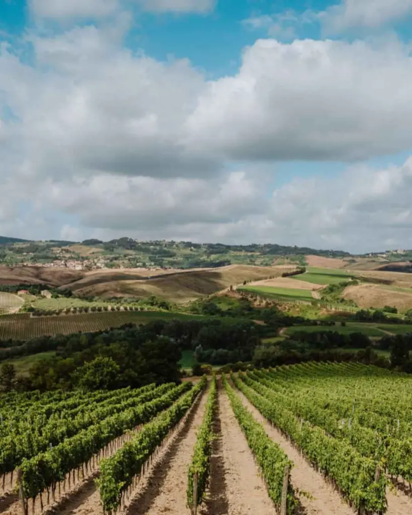 badia-di-morrona-vineyard-tour-tuscany-ital.webp