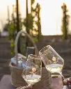 tenuta-di-castellaro-wine-tasting-lipari-sicily-italy.webp