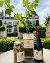 chateau-de-chamirey-winery-experience-burgundy-france.webp