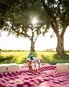 gorghi-tondi-sicily-picnic-tasting.webp