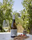 tenuta-di-castellaro-wine-tasting-sicily.webp