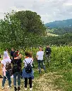 torraccia-di-presura-vineyard-tour-tuscany-italy.webp