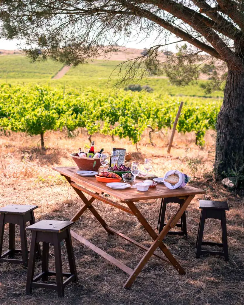 geracoes-da-talha-vineyard-picnic-portugal--alentejo.webp