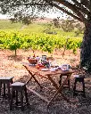 geracoes-da-talha-vineyard-picnic-portugal--alentejo.webp