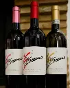 d'erasmo-wines-italy-marche.webp