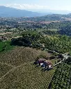 derasmo-winery-experience-marche-italy.webp