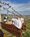 tenuta-fanton-italy-abruzzo-wine-experience.webp