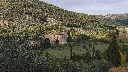 brunello-wine-tour-from-siena-sighseeing.webp