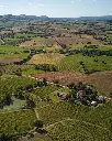 tour-capoccia-tiberini-tuscany-vineyards.webp