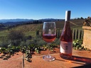 Villa Travignoli - Chianti Rufina Experience