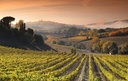 Mormoraia - 