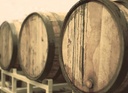 Vasari - Visit and Tasting