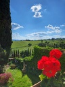 Villa Travignoli - Special Travignoli