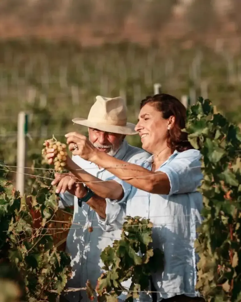 Italy, Sicily, Tenuta La Favola - Experience Plus