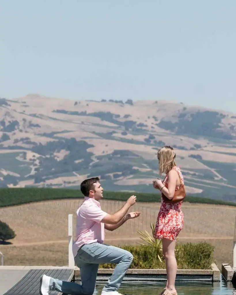 US, California, Napa Valley, Artesa Winery - Wine Tasting with the Stars