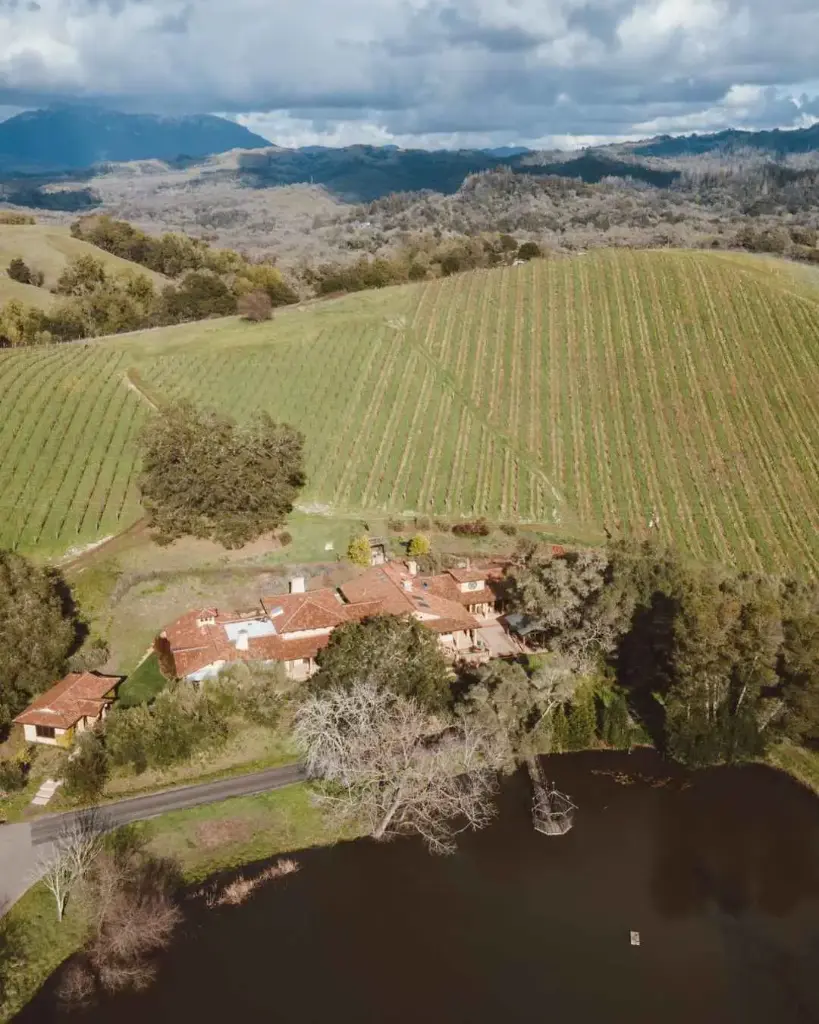 US, California, Sonoma Valley, Acaibo Winery - Journey to Sonoma