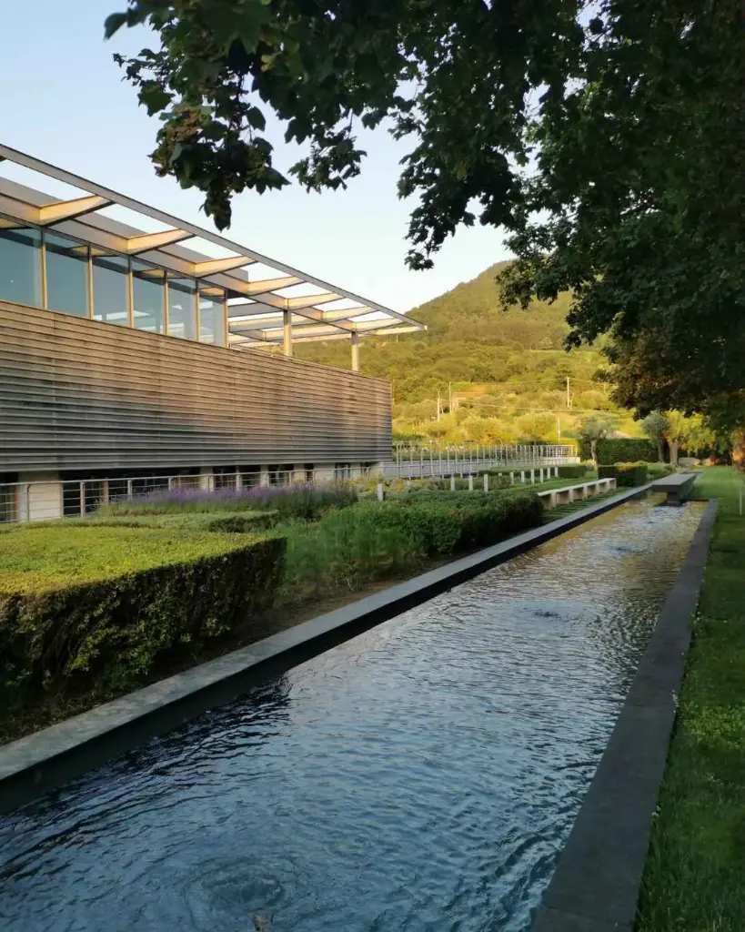 Italy, Campania, Feudi di San Gregorio - WINEVISONARY - TOUR & TASTING