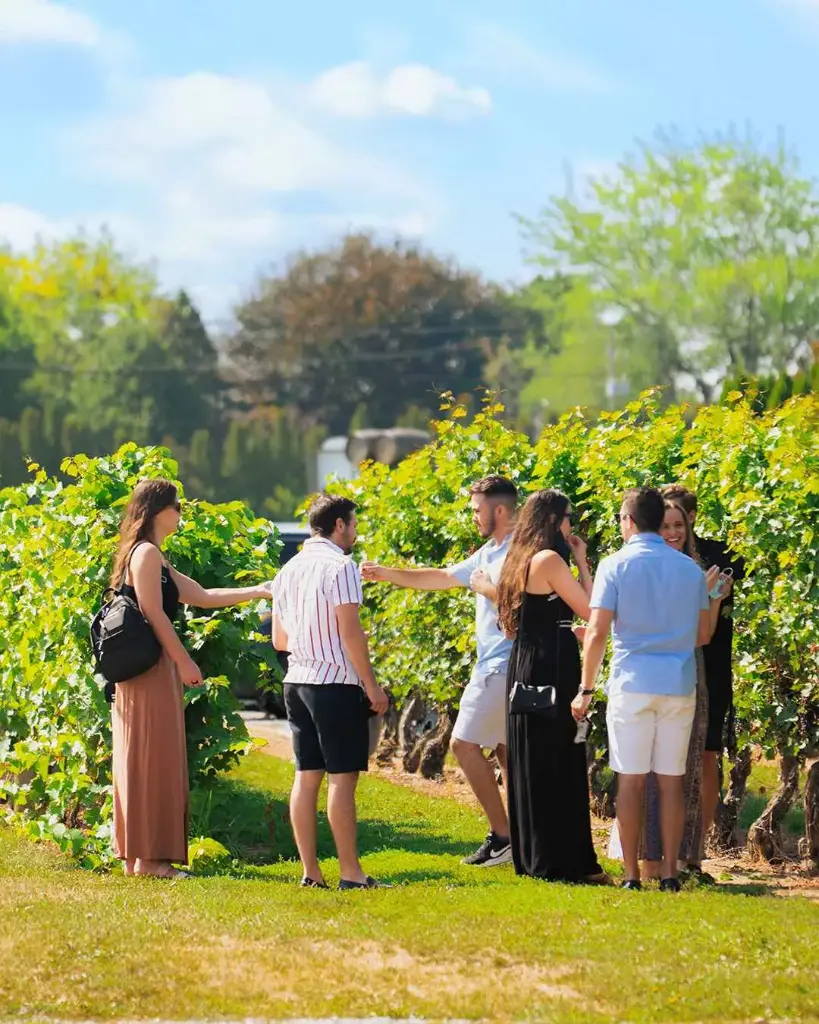 Canada, Ontario, Pillitteri Estates Winery - The Grand Estate Tour