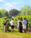 Canada, Ontario, Pillitteri Estates Winery - The Grand Estate Tour