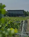 Canada, Ontario, Cave Spring Vineyard - Wine and Cheese