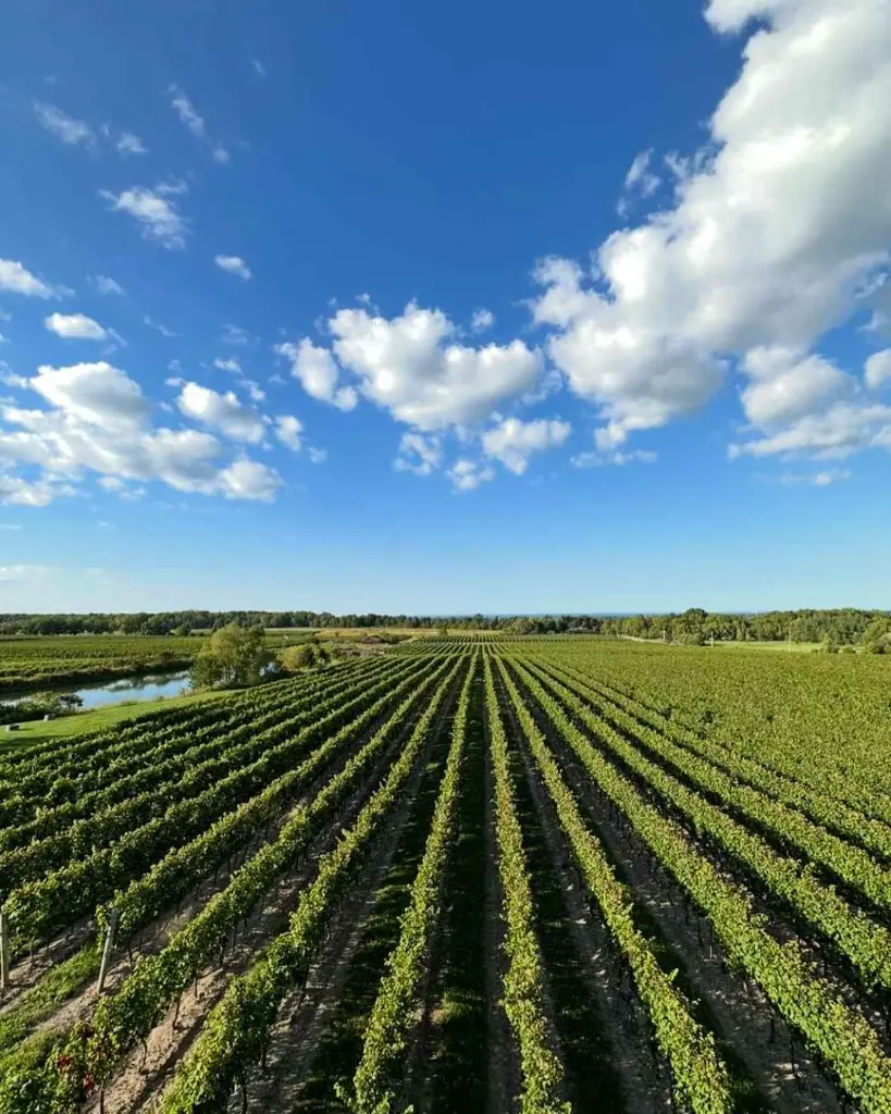 Canada, Ontario, Flat Rock Cellars - Taste The Terroir
