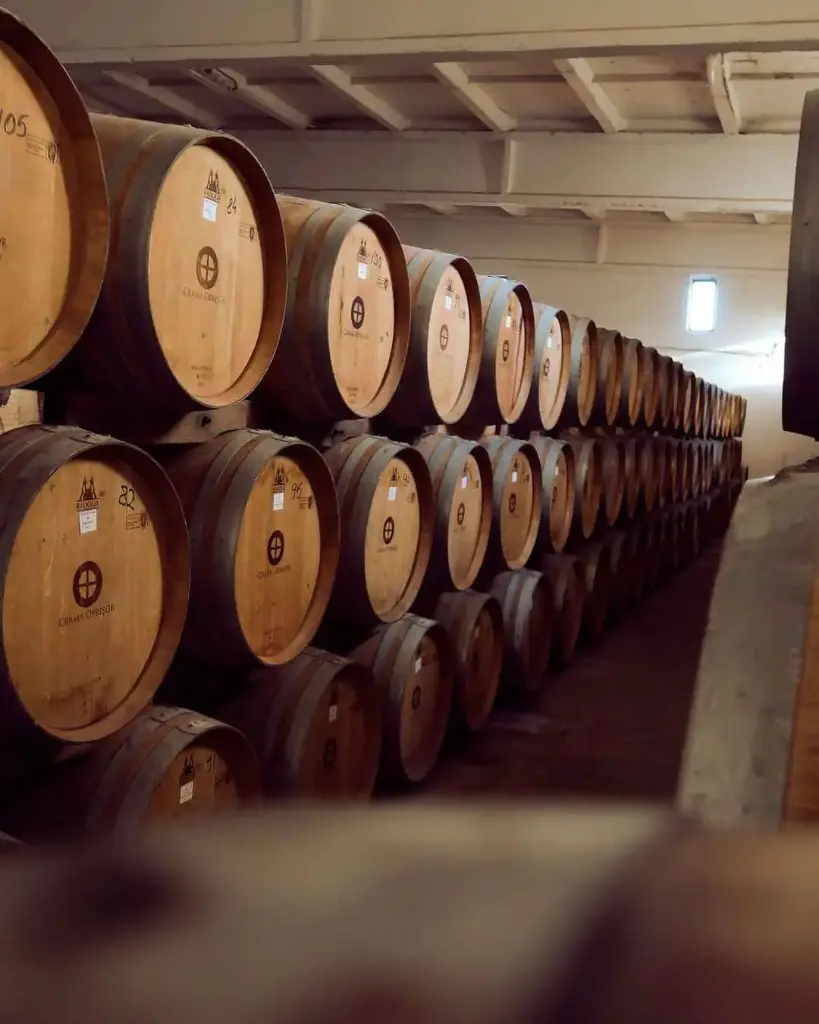 Romania, Oltenia, Crama Oprisor - Vineyards & Winery tour and tasting 6 wines