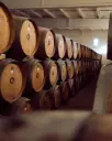 Romania, Oltenia, Crama Oprisor - Vineyards & Winery tour and tasting 6 wines