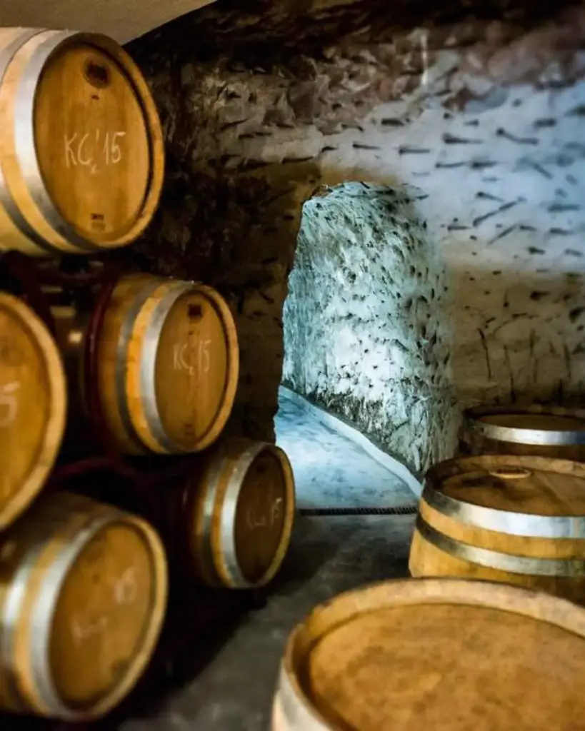 Bulgaria, Struma Valley, Villa Melnik - Special tour of the vineyards, winery, and tasting of 6 wines