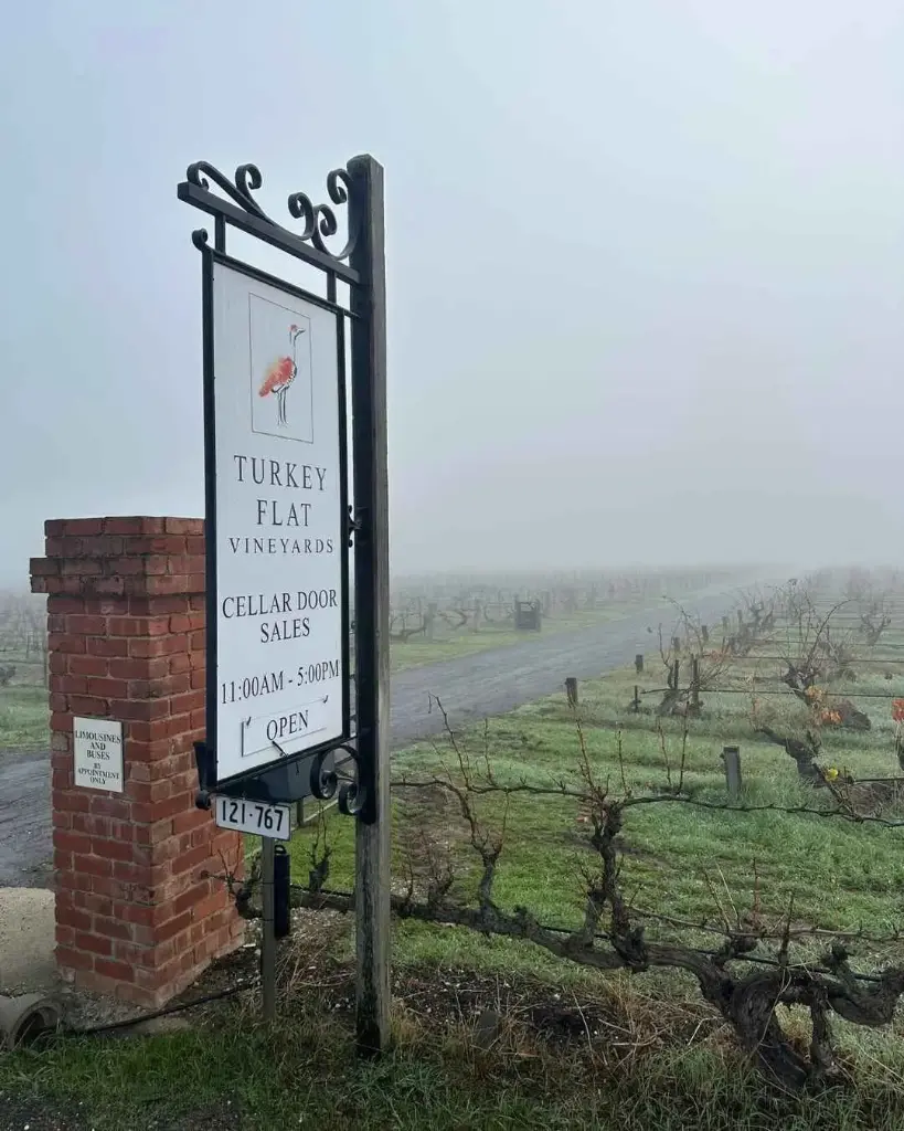 Australia, Barossa Valley, Turkey Flat Vineyards - Turkey Flat Vineyards Visit and Wine Flight