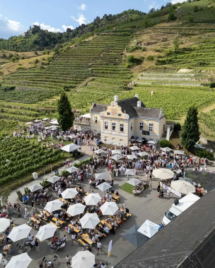 Austria, Lower Austria, Domäne Wachau - Estate Tour & Wine Tasting