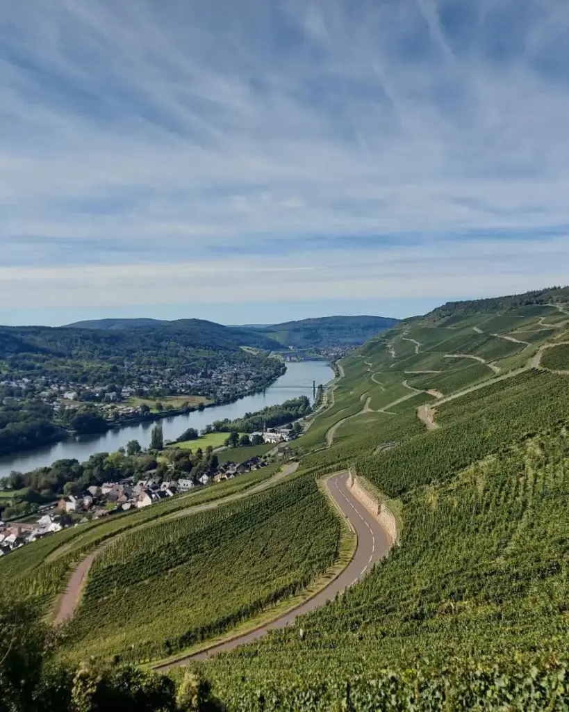 Germany, Mosel, Weingut S. A. Prüm - Mosel Wine Journey